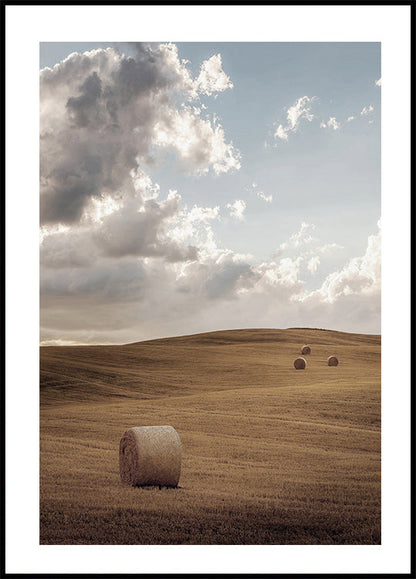 Field with Bales of Hay Plakat