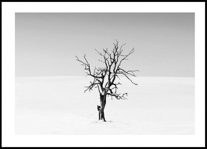 Dry Tree in The Snow Plakat