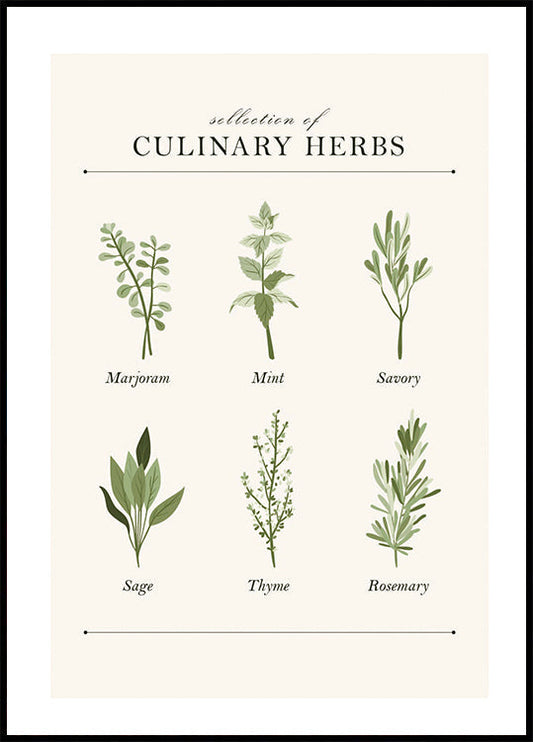 Herbs Plakat