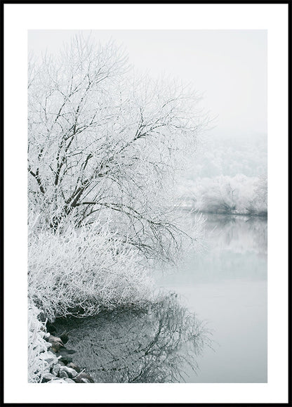 Winter Lake Plakat