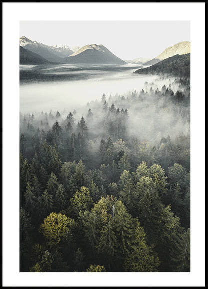 Misty Mountain Forest Plakat