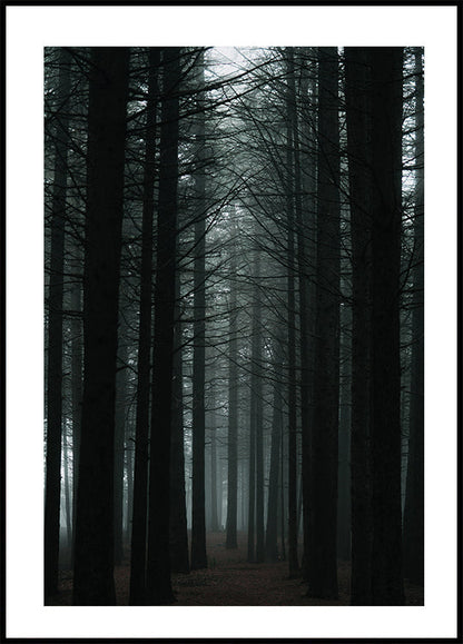 Dark Forest Plakat