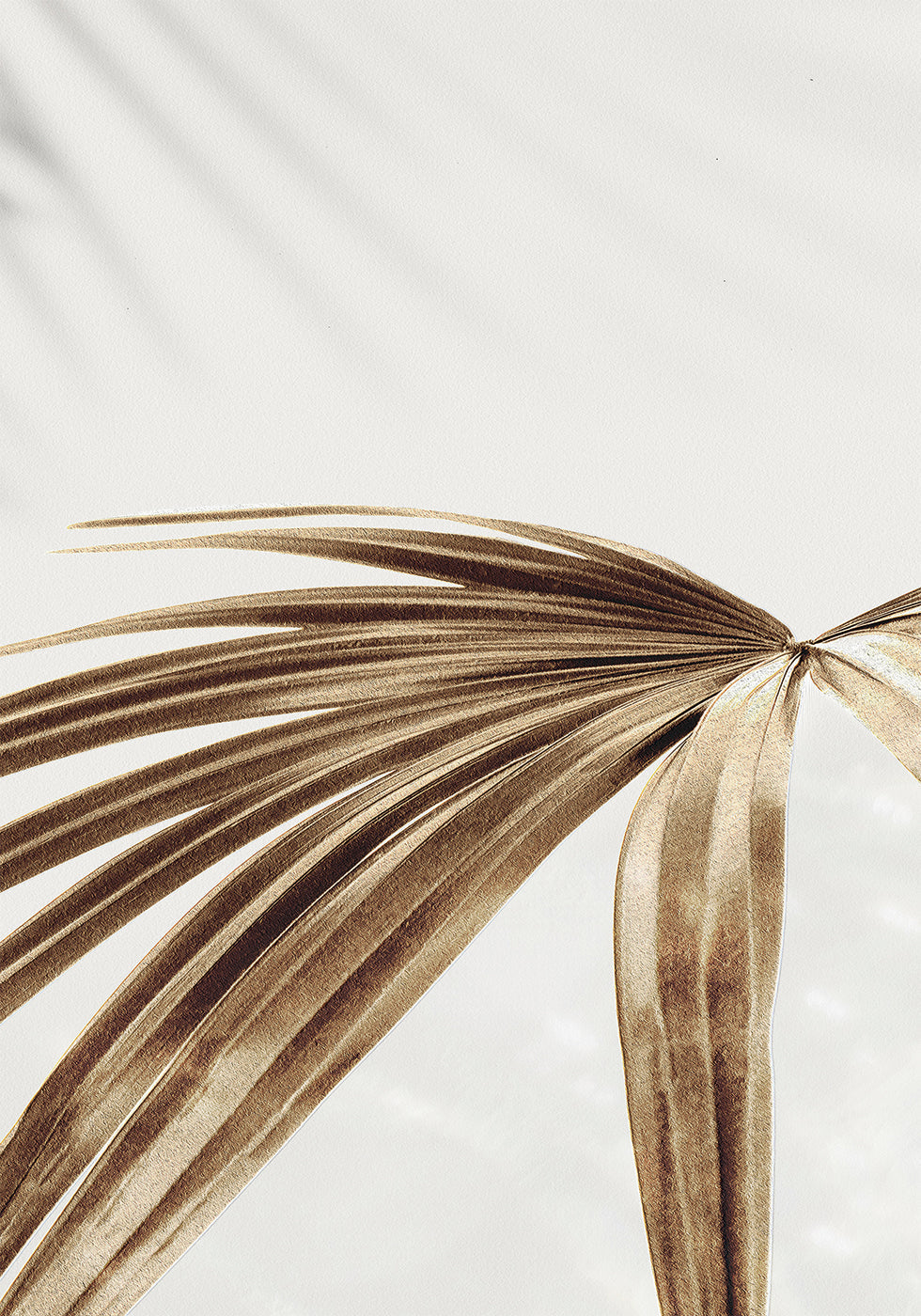 Golden Palm Leaves Plakat