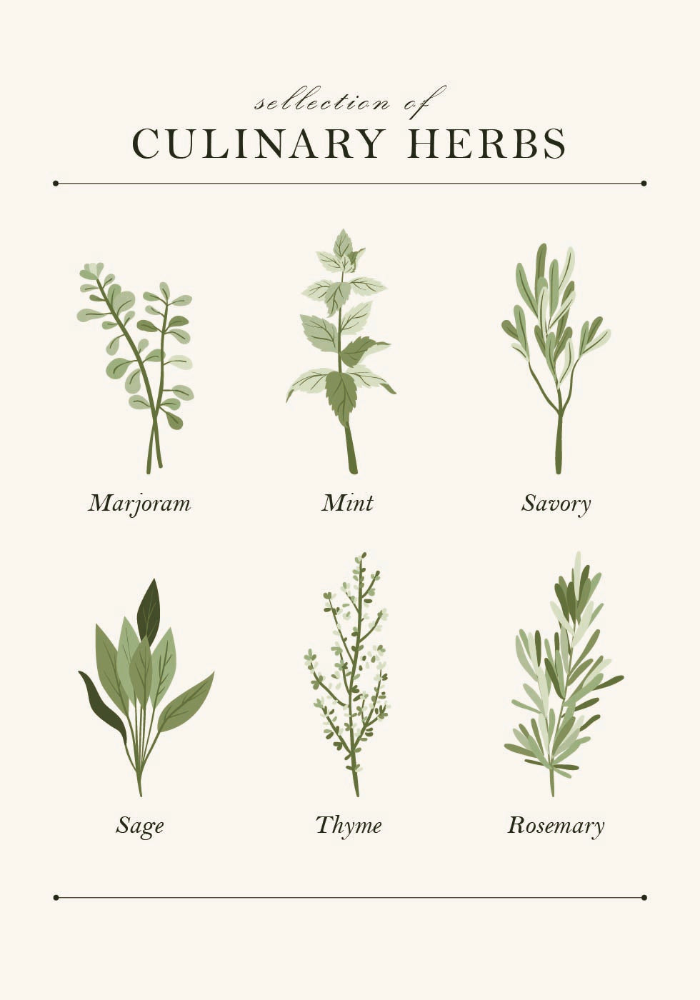 Herbs Plakat