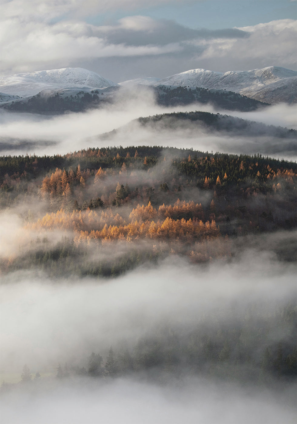 Misty Valley Plakat