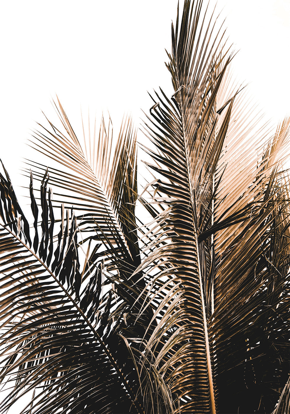 Palm Leaves No. 1 Plakat