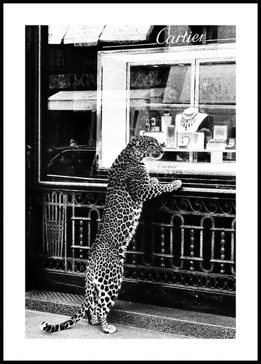 Panther in the Jewelry Shop Plakat