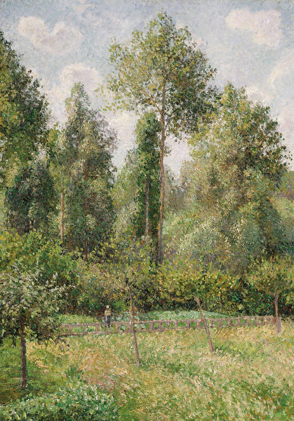 Poplars Éragny By Camille Pissarro Plakat