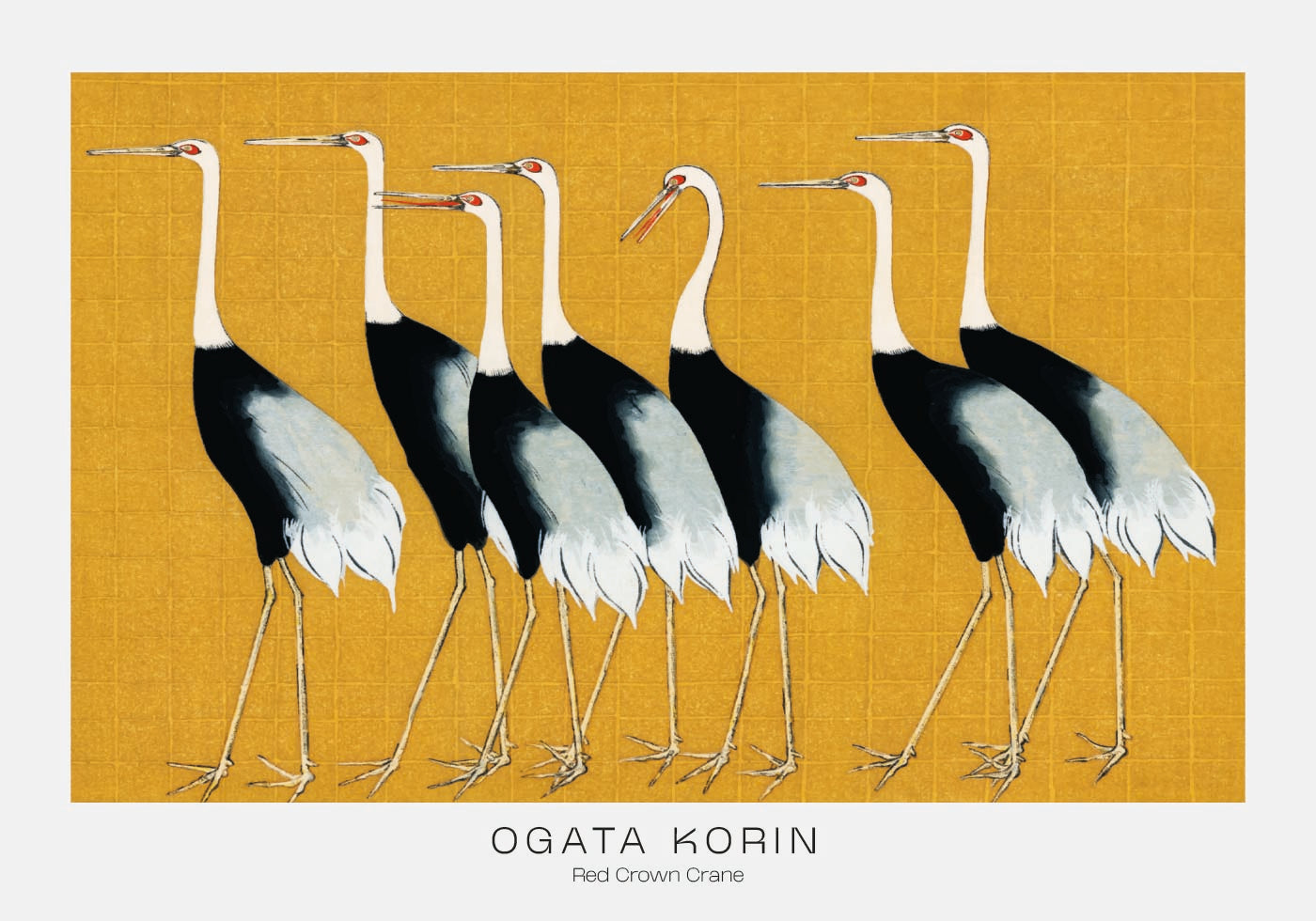 Red Crown Crane By Ogata Korin Plakat