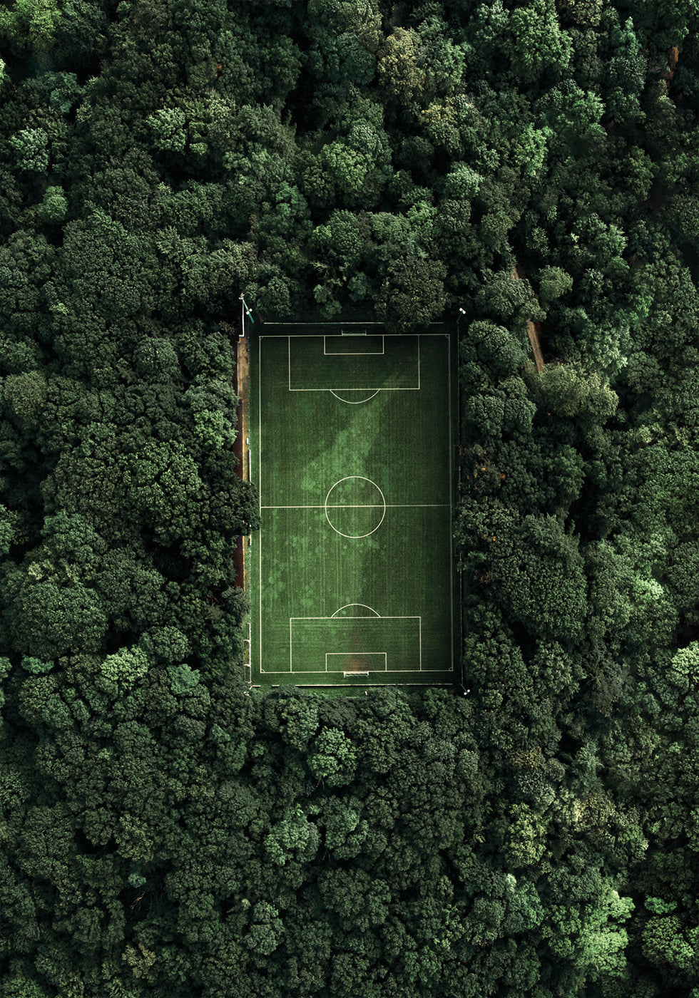 Soccer Field In The Forest Plakat