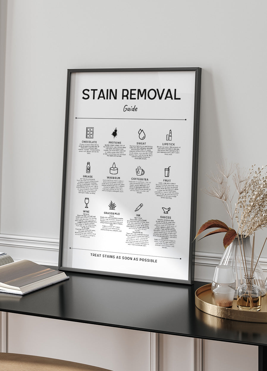 Stain Removal Guide Plakat