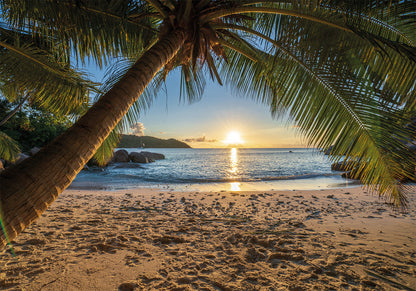 Sunrise on tropical beach plakat