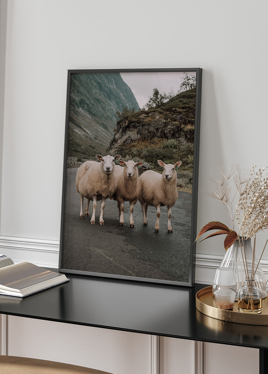 Three Sheep Plakat