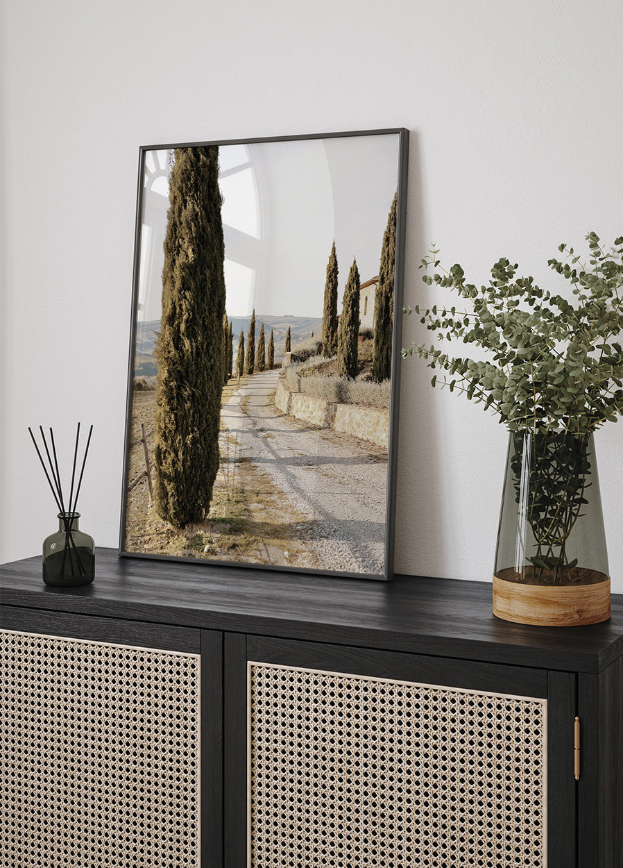 Tuscan Cypress Street Plakat