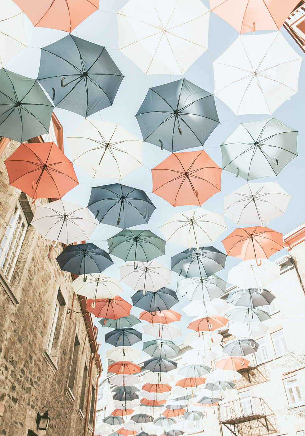 Umbrellas Plakat