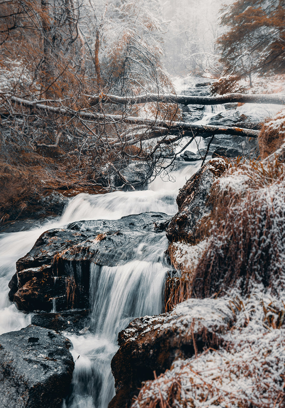 Winter Waterfall In The Forest Plakat