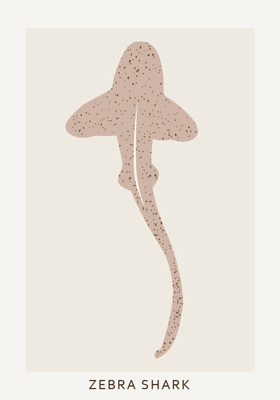 Zebra Shark Plakat