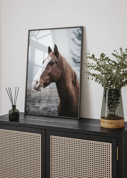 Brown Horse Plakat