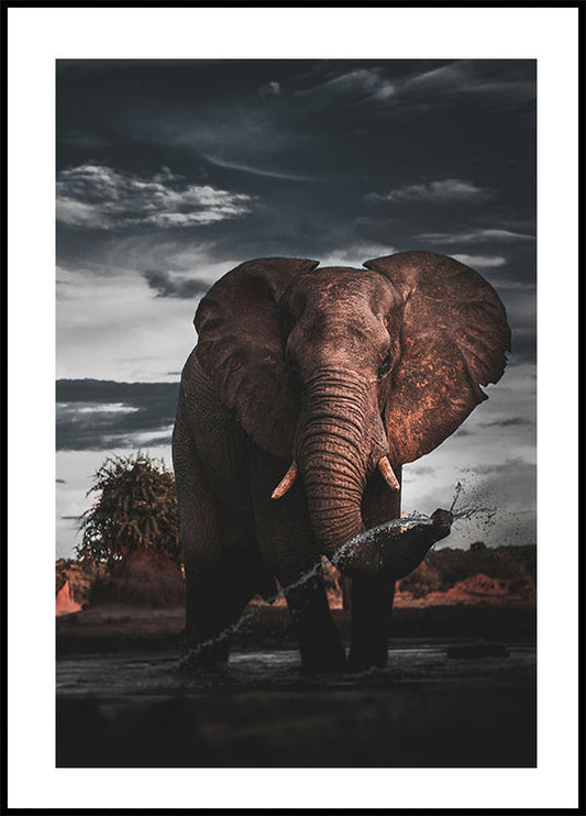 Majestic Elephant in Nature Plakat