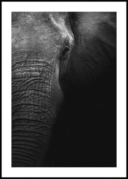 Elephant Plakat