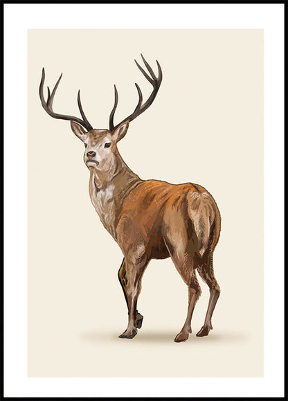 Brown Deer Plakat