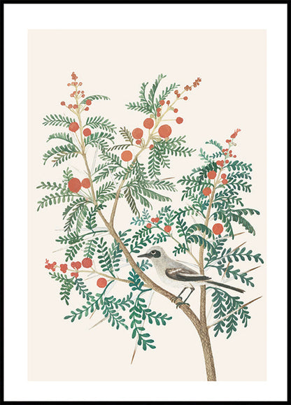 Bird And Red Berries Plakat