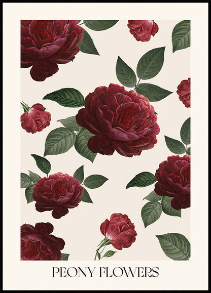 Peony Flowers Plakat