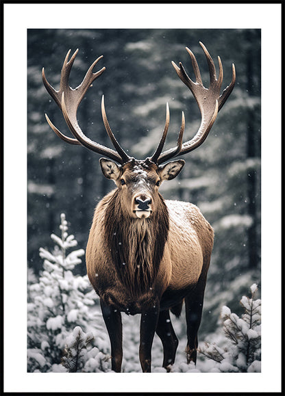 Stag In Forest Plakat