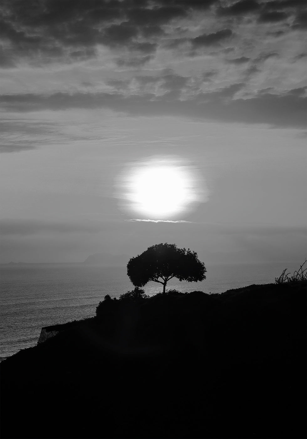 One Tree At Sunset Plakat