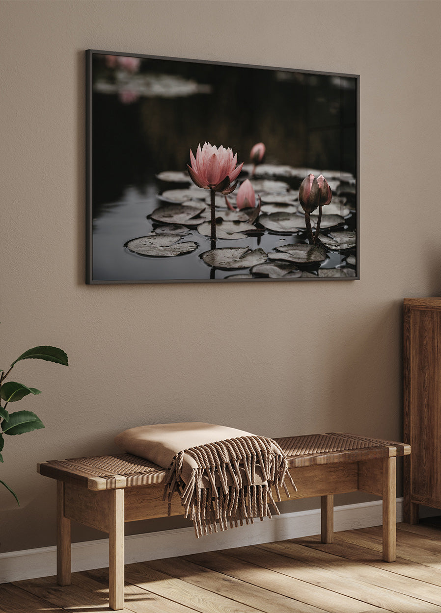 Pink Lotus Flowers Plakat