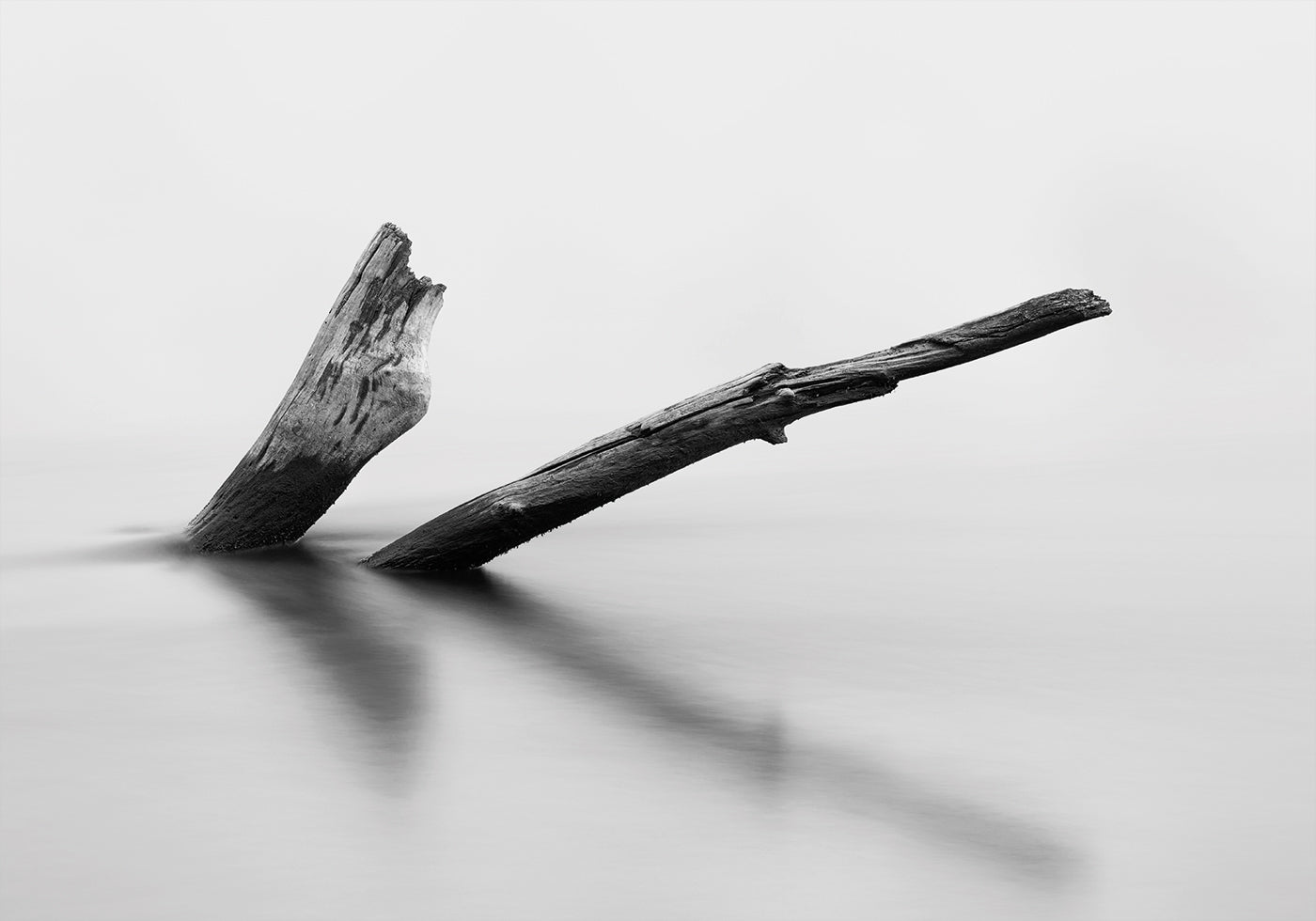 Wooden Log In The Water Plakat